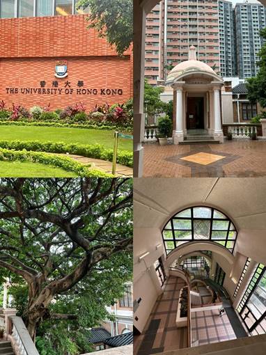 说明: IMG_5333.jpeg